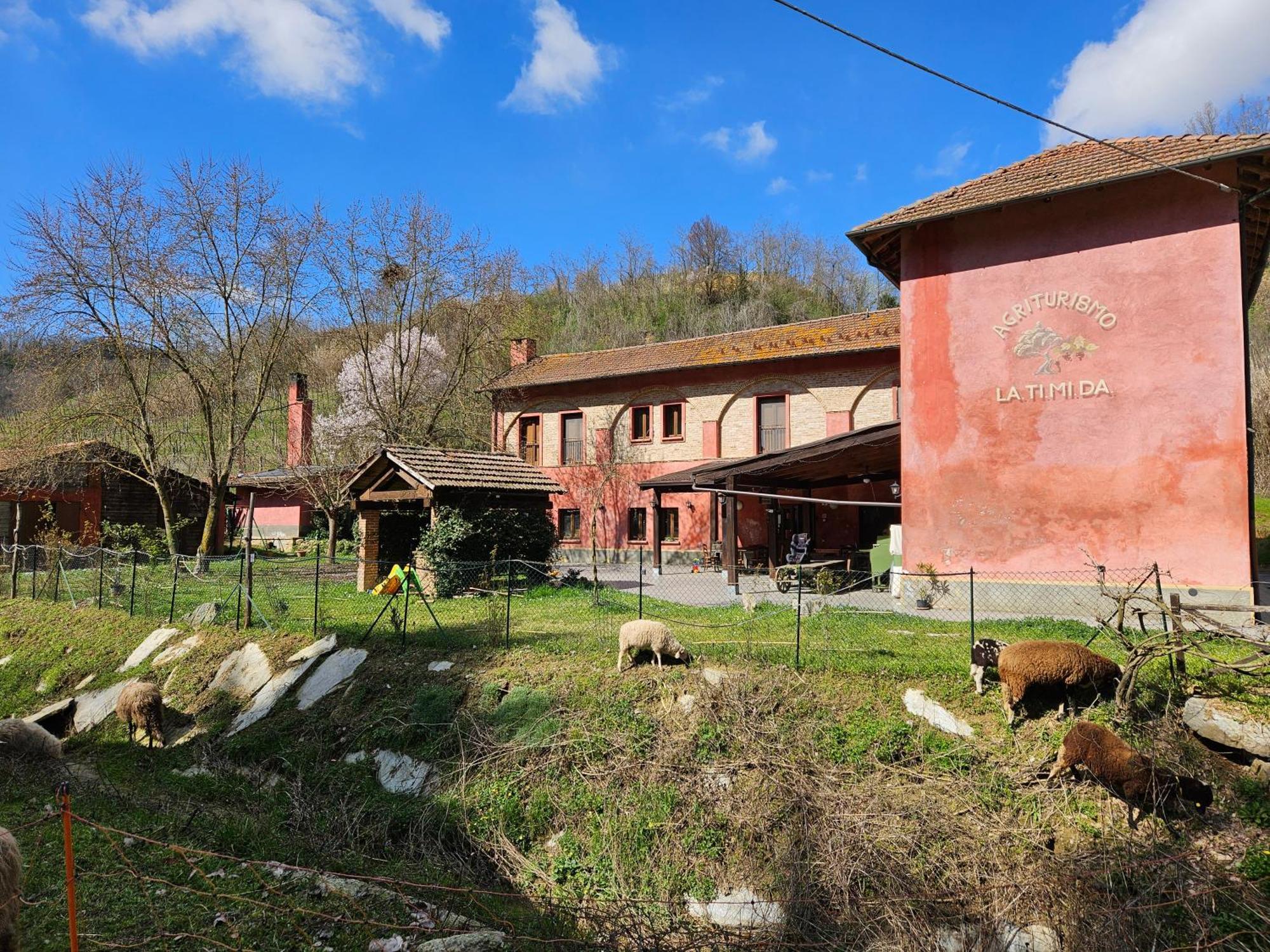 Agriturismo La.Ti.Mi.Da. Villa Cassine Eksteriør billede