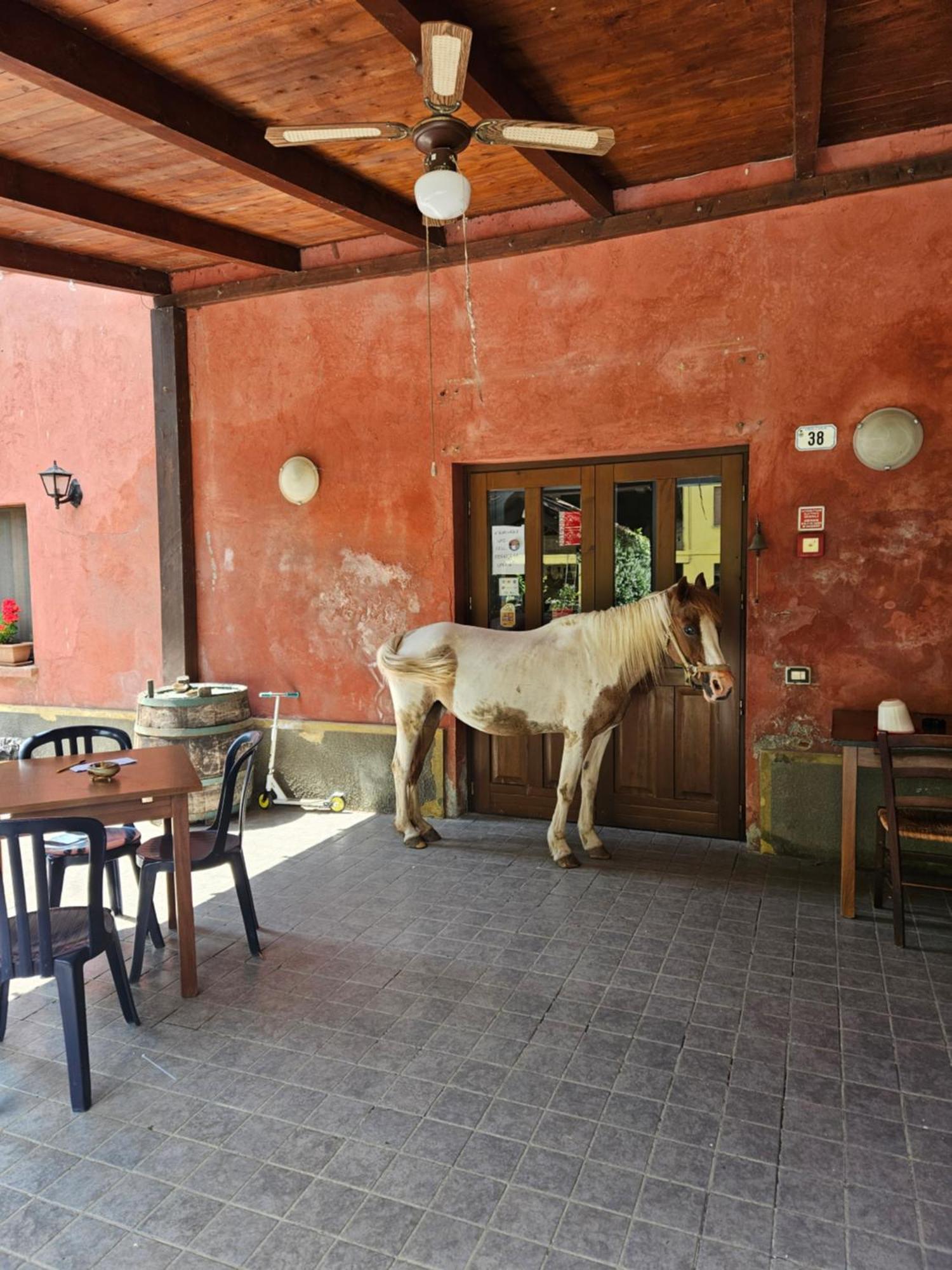 Agriturismo La.Ti.Mi.Da. Villa Cassine Eksteriør billede