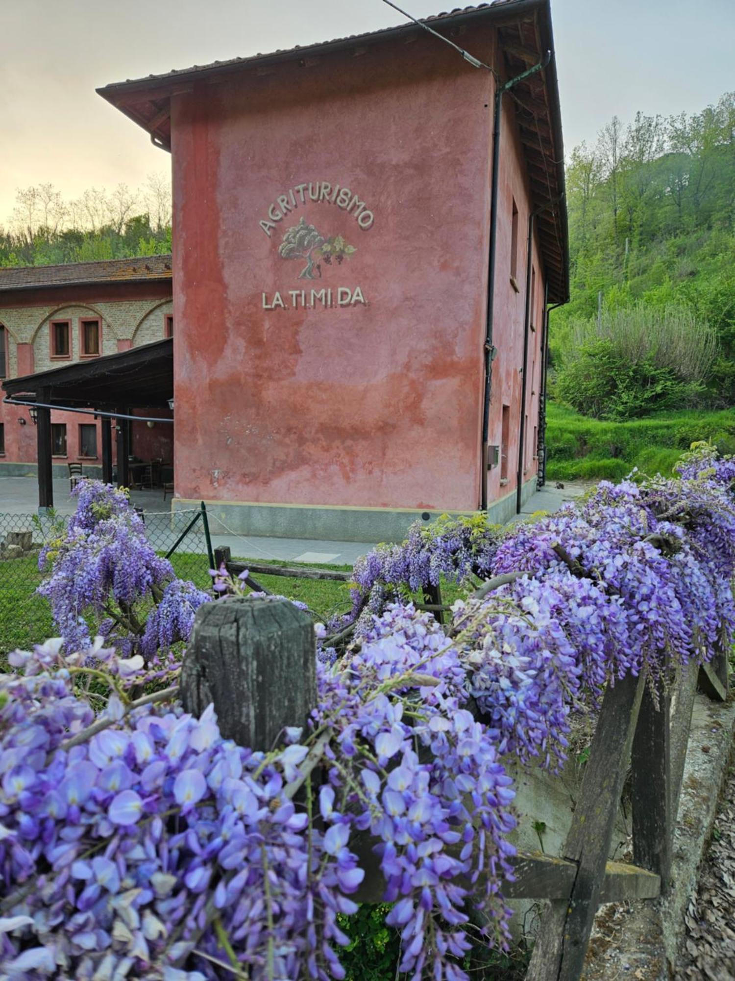 Agriturismo La.Ti.Mi.Da. Villa Cassine Eksteriør billede