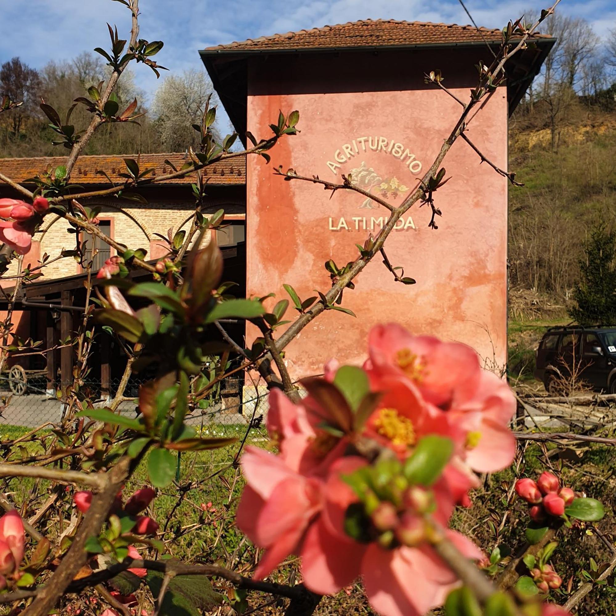 Agriturismo La.Ti.Mi.Da. Villa Cassine Eksteriør billede