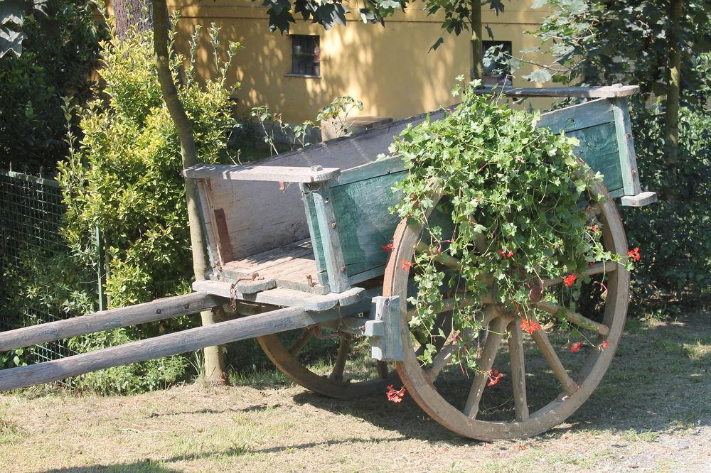 Agriturismo La.Ti.Mi.Da. Villa Cassine Eksteriør billede